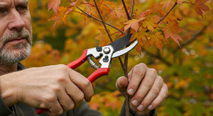 Key Steps to Keep Your Fruit Trees Healthy This March