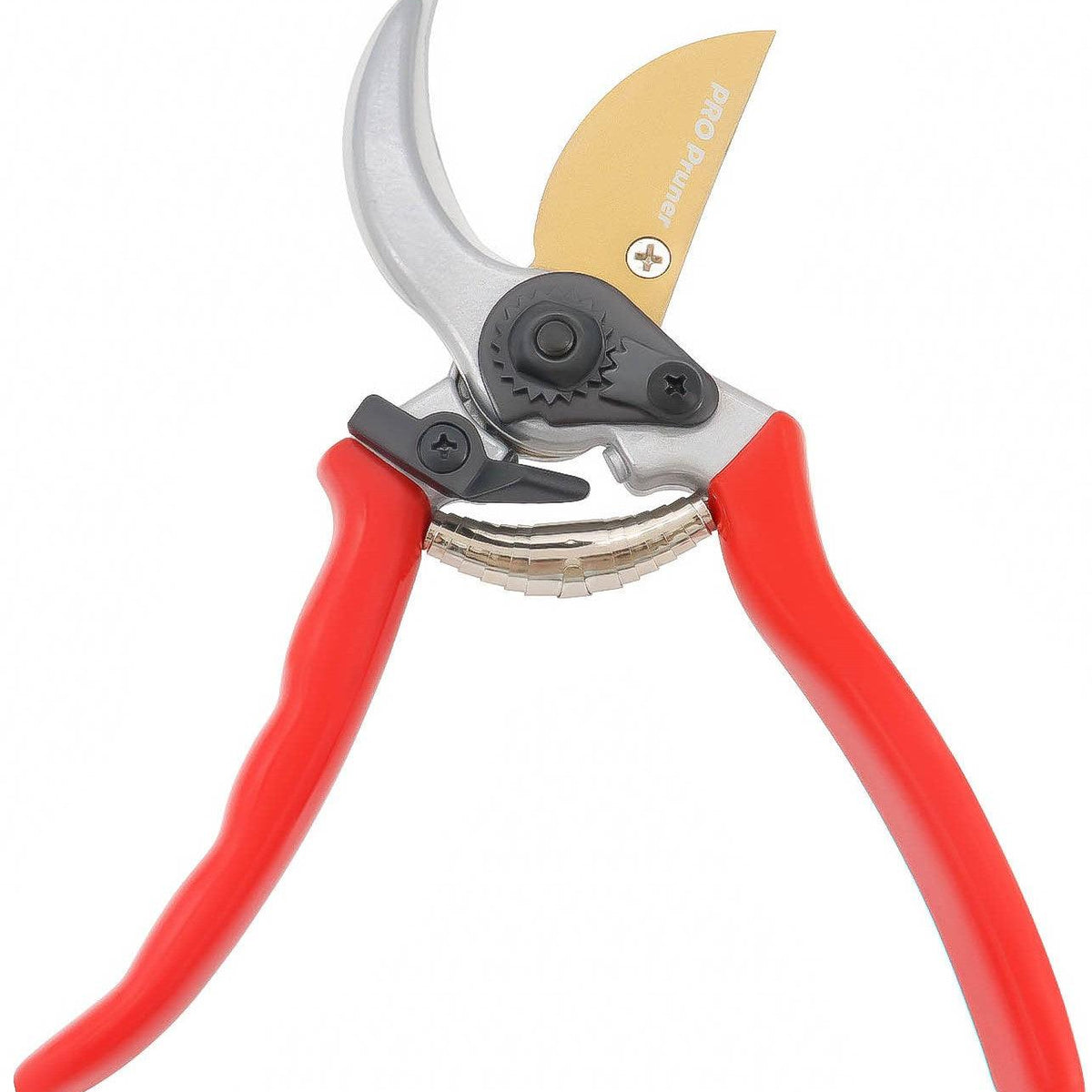 The Pro Pruners - Sharp Shears That Are Professional Grade