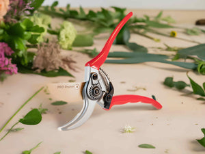 Don’t Know What to Buy for Your Mom, Sister, Brother, Grandpa, or Husband’s Birthday? Try Pro Pruners!