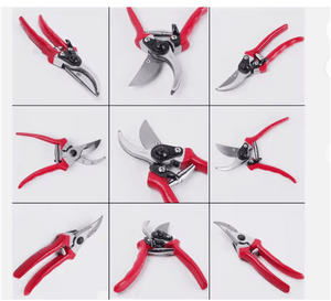 Top Pruning Trends to Watch in 2025: Expert Tips for the Modern Gardener