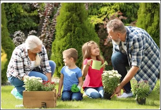 Top Features to Look For and How to Choose the Right One for Your Garden