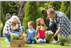 Top Features to Look For and How to Choose the Right One for Your Garden