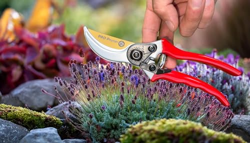 Pro Pruner Stainless Steel Springs(2) & 1 Titanium Blade Replacement for Pro Pruners PP8 - Pro Pruner