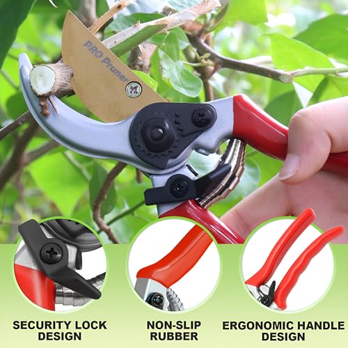 Garden Shears Spring Replacement, Premium Grade by Pro Pruner, Spring Parts (2-Pack) Stainless Steel- No Rust, Volute Springs,Accessories for Secateur - Pro Pruner