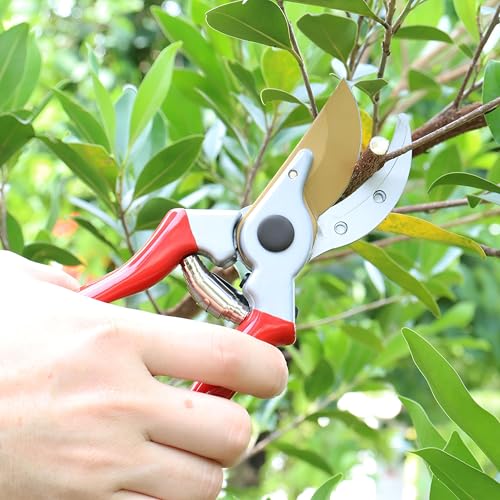 Pro Pruner Stainless Steel Springs(2) & 1 Titanium Blade Replacement for Pro Pruners PP8 - Pro Pruner