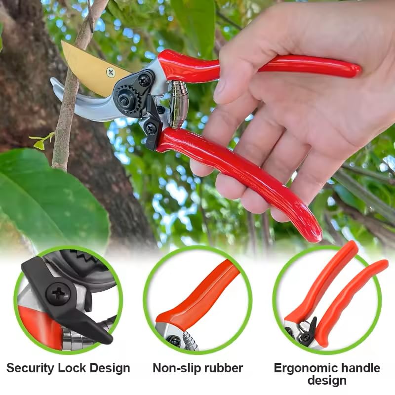 Pro Pruner Pruning Shears-1 Extra Titanium Blade Replacement-2 extra Springs Bundle Last Pruners You'll need(4 Items) - Pro Pruner