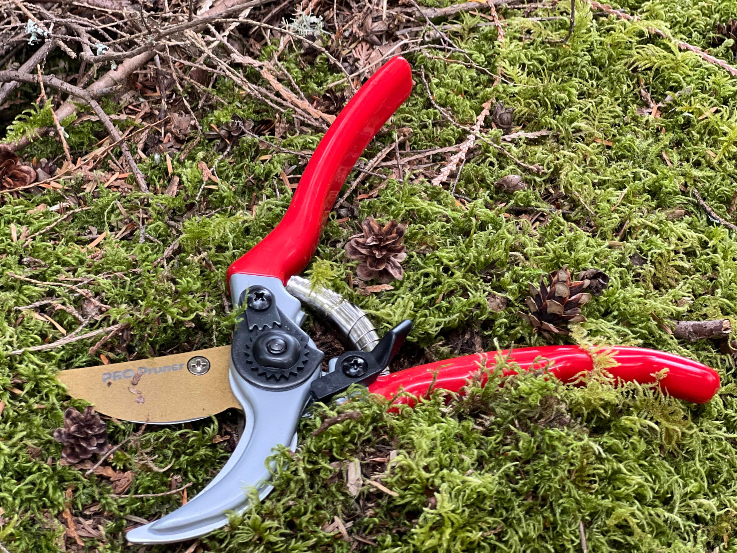 PRO Pruners Garden Shears Professional Grade Rust Free Blade and Comfortable Handles