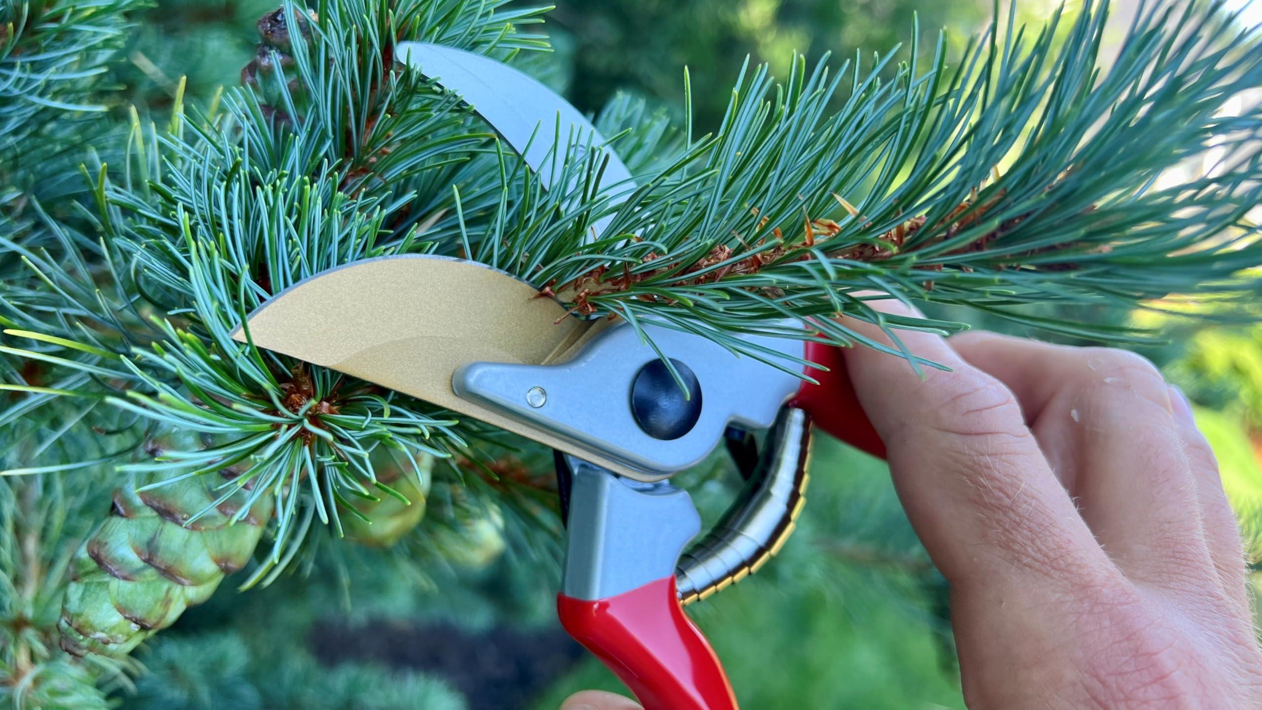 PRO Pruners Garden Shears Professional Grade Rust Free Blade and Comfortable Handles