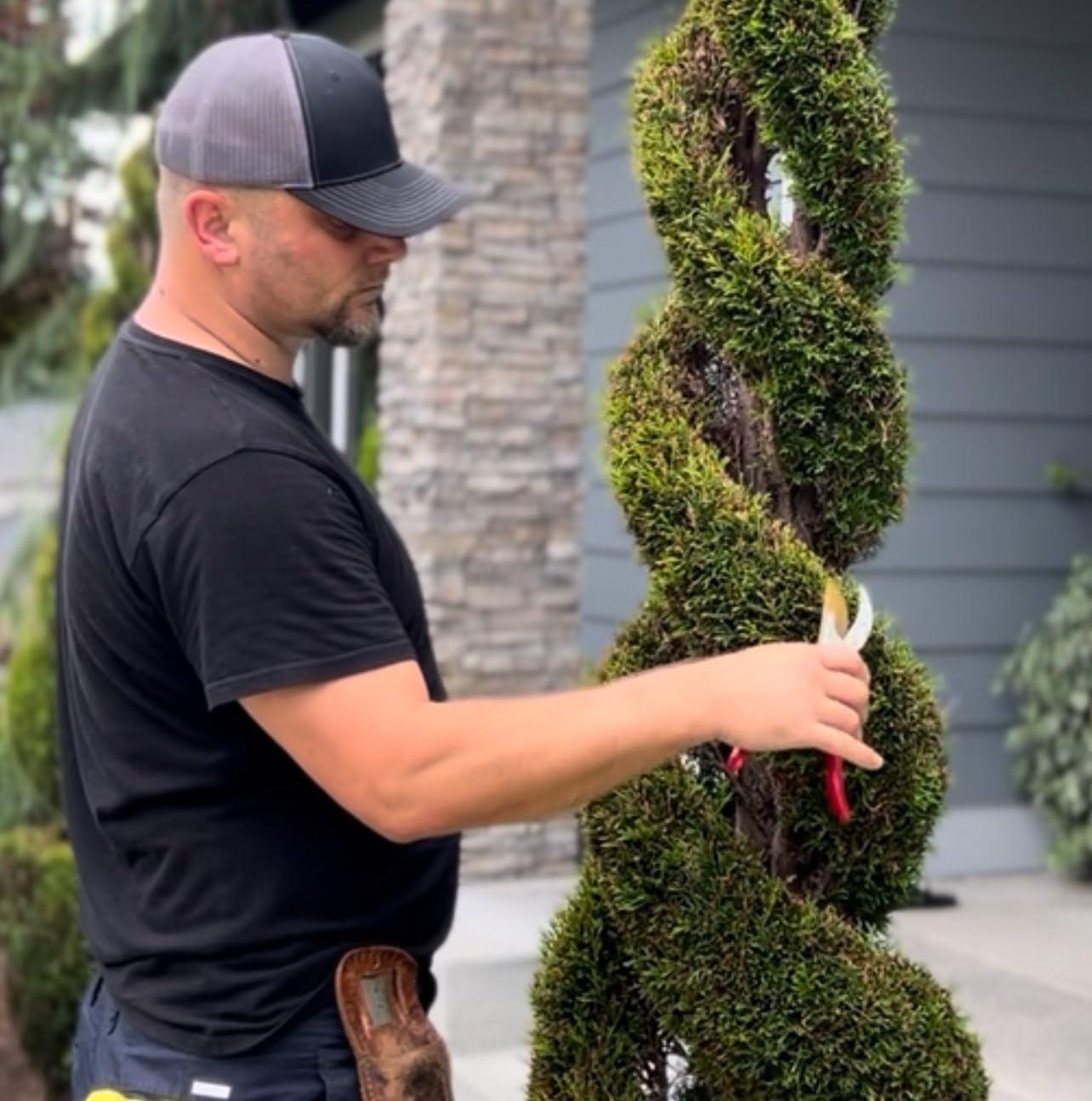 Professional Premium Bypass Pruning Shears, Use as Pruners, Garden Shears, Heavy Duty Handheld Garden Pruning Shears for Gardening, Pruning Scissor Tool - Pro Pruner