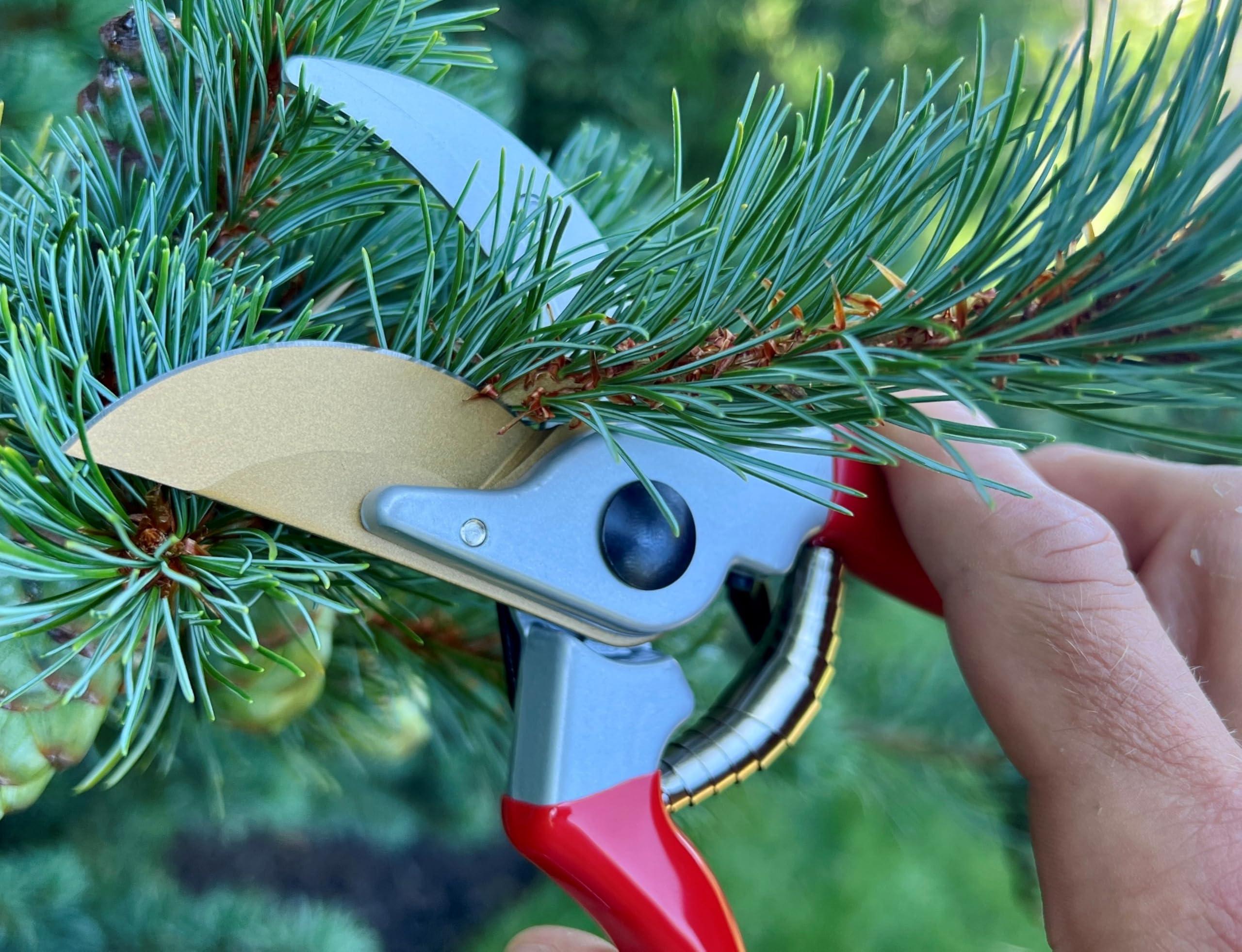 Professional Premium Bypass Pruning Shears, Use as Pruners, Garden Shears, Heavy Duty Handheld Garden Pruning Shears for Gardening, Pruning Scissor Tool - Pro Pruner