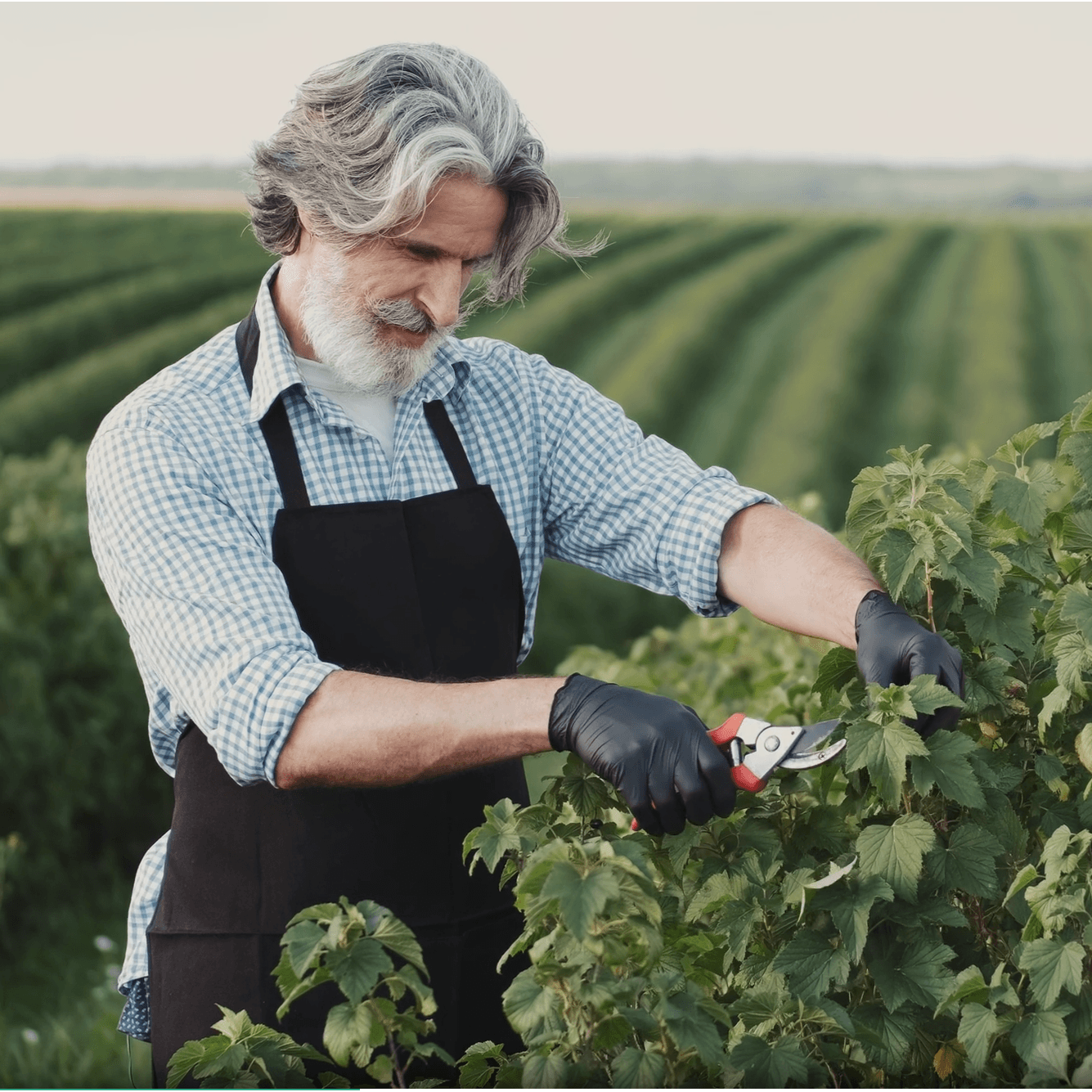 Pro Bypass Pruning Shears,Very Sharp Garden Pruners For Gardening