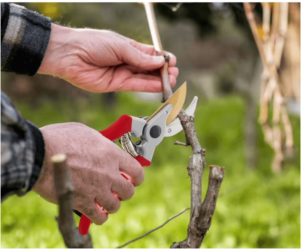 Pro Bypass Pruning Shears,Very Sharp Garden Pruners For Gardening