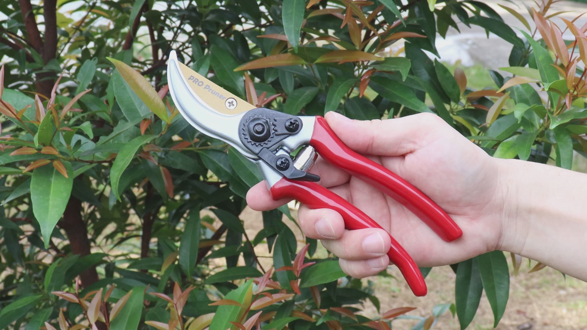 Pro Bypass Pruning Shears,Very Sharp Garden Pruners For Gardening